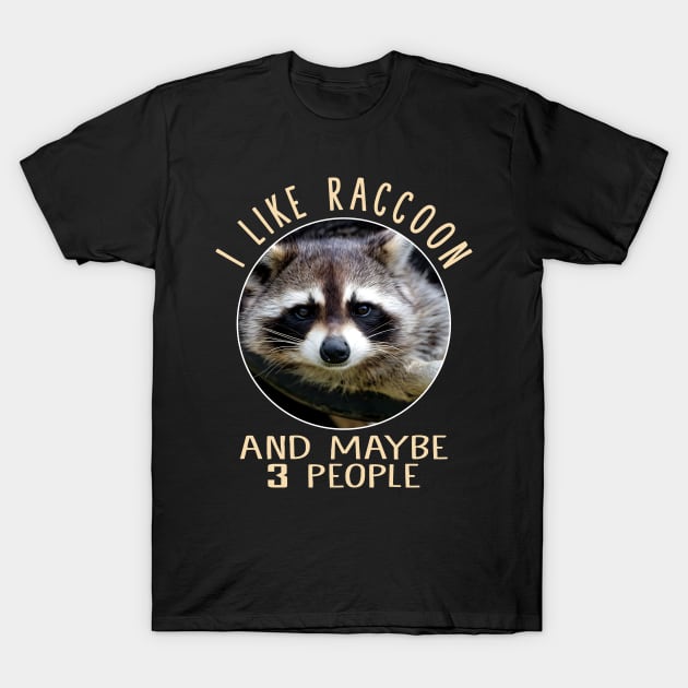Enigmatic Elegance Raccoon Merchandise T-Shirt by BoazBerendse insect